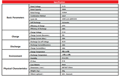 AOKLY ALFP 48V 100AH WALL MOUNTED LITHIUM BATTERY (ONLY FOR KARACHI )